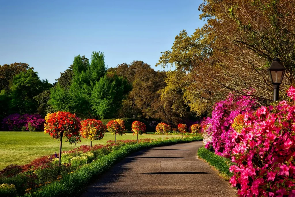 Breathtaking Landscaping