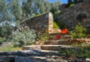 landscaping 2